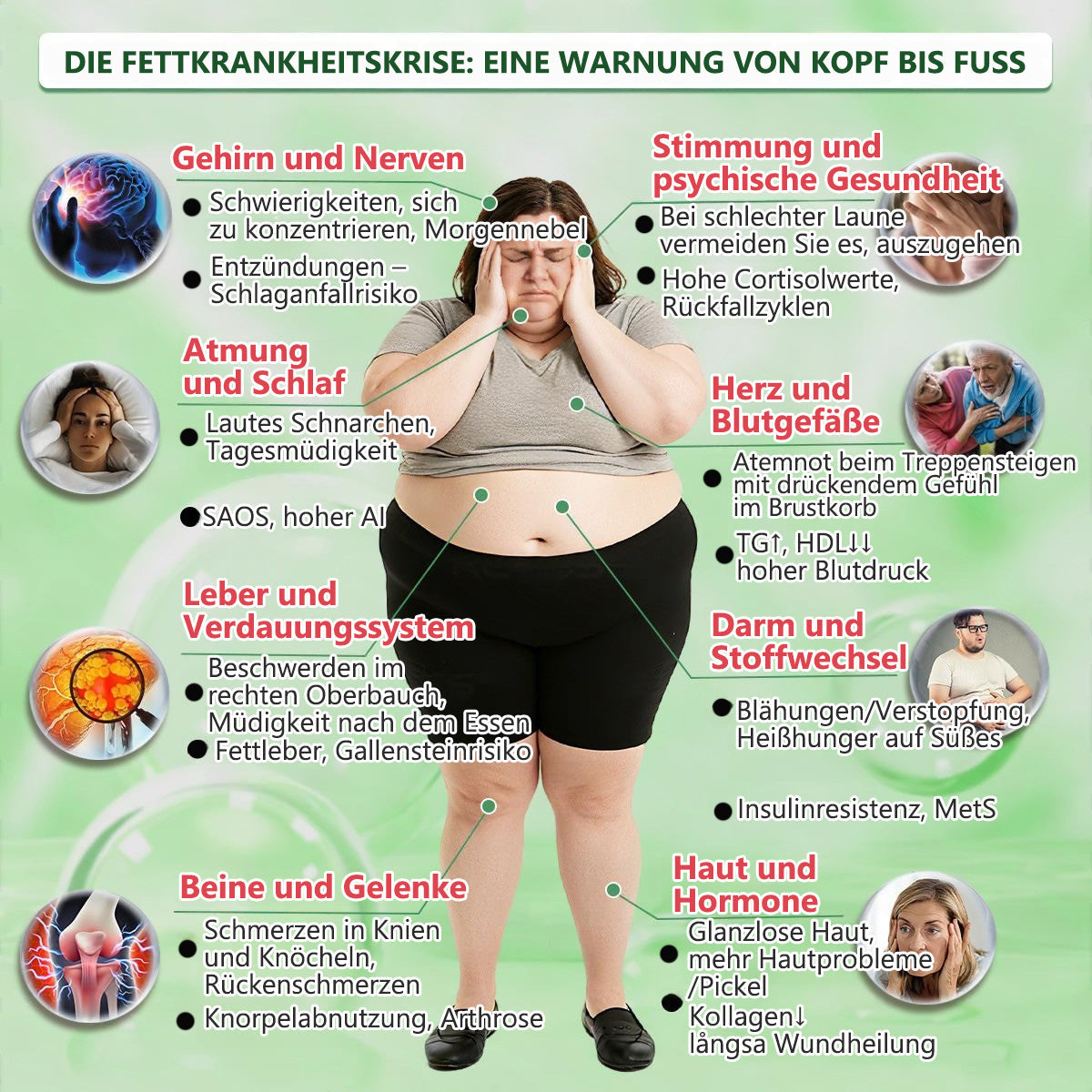 🇩🇪 Offizieller deutscher Shop | Geelemon® Moringa · Berberin × NAD+ 𝟏𝟎-𝐢𝐧-𝟏 𝐀𝐝𝐯𝐚𝐧𝐜𝐞𝐝 𝐍𝐚𝐧𝐨-𝐌𝐢𝐤𝐫𝐨𝐧𝐚𝐝𝐞𝐥-𝐏𝐚𝐭𝐜𝐡 — 𝐄𝐢𝐧𝐦𝐚𝐥 𝐭ä𝐠𝐥𝐢𝐜𝐡, 𝐬𝐢𝐜𝐡𝐭𝐛𝐚𝐫𝐞 𝐄𝐫𝐠𝐞𝐛𝐧𝐢𝐬𝐬𝐞 𝐢𝐧 𝟕 𝐓𝐚𝐠𝐞𝐧
