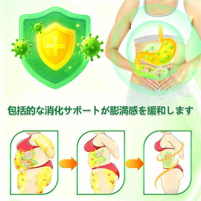 🇯🇵 内臓脂肪対策サポート 👨‍⚕️👩‍⚕️GeeLemon®＆NAD+ 8-in-1 ナノ強化フォーミュラ — 肥満、肌のたるみ、糖尿病、睡眠時無呼吸症候群、関節の悩み、その他健康上の懸念にアプローチ🛍️